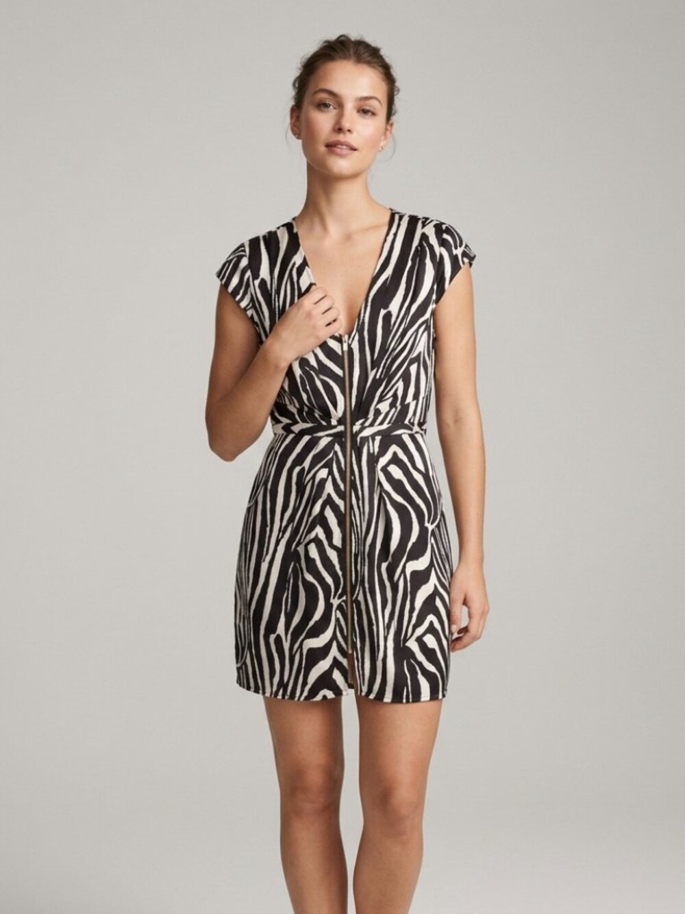 H&M Zebra Print Zip Up Dress
